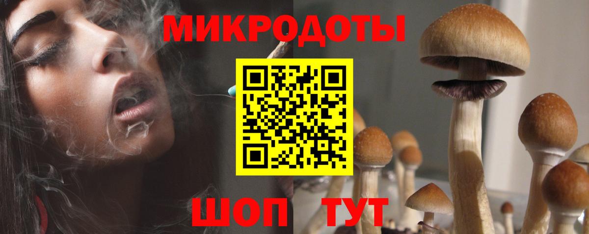Тихвин  Галлюциногенные грибы Psilocybe  Вход с VPN 